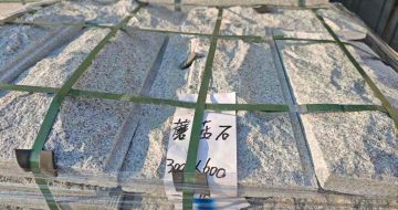 东莞芝麻白蘑菇石，自然面